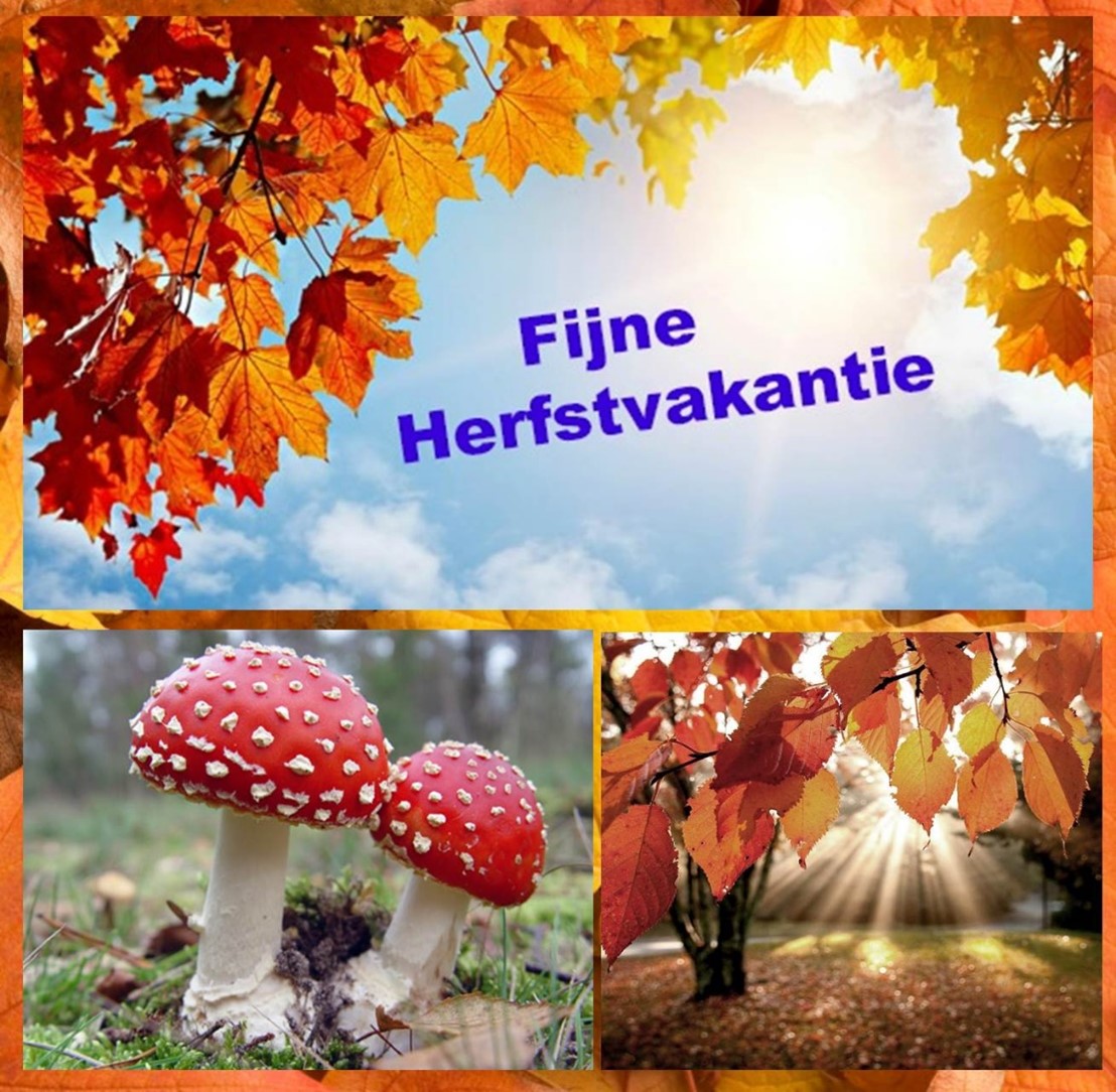 Fijne herfstvakantie 1 SBS1&2 Dilsen